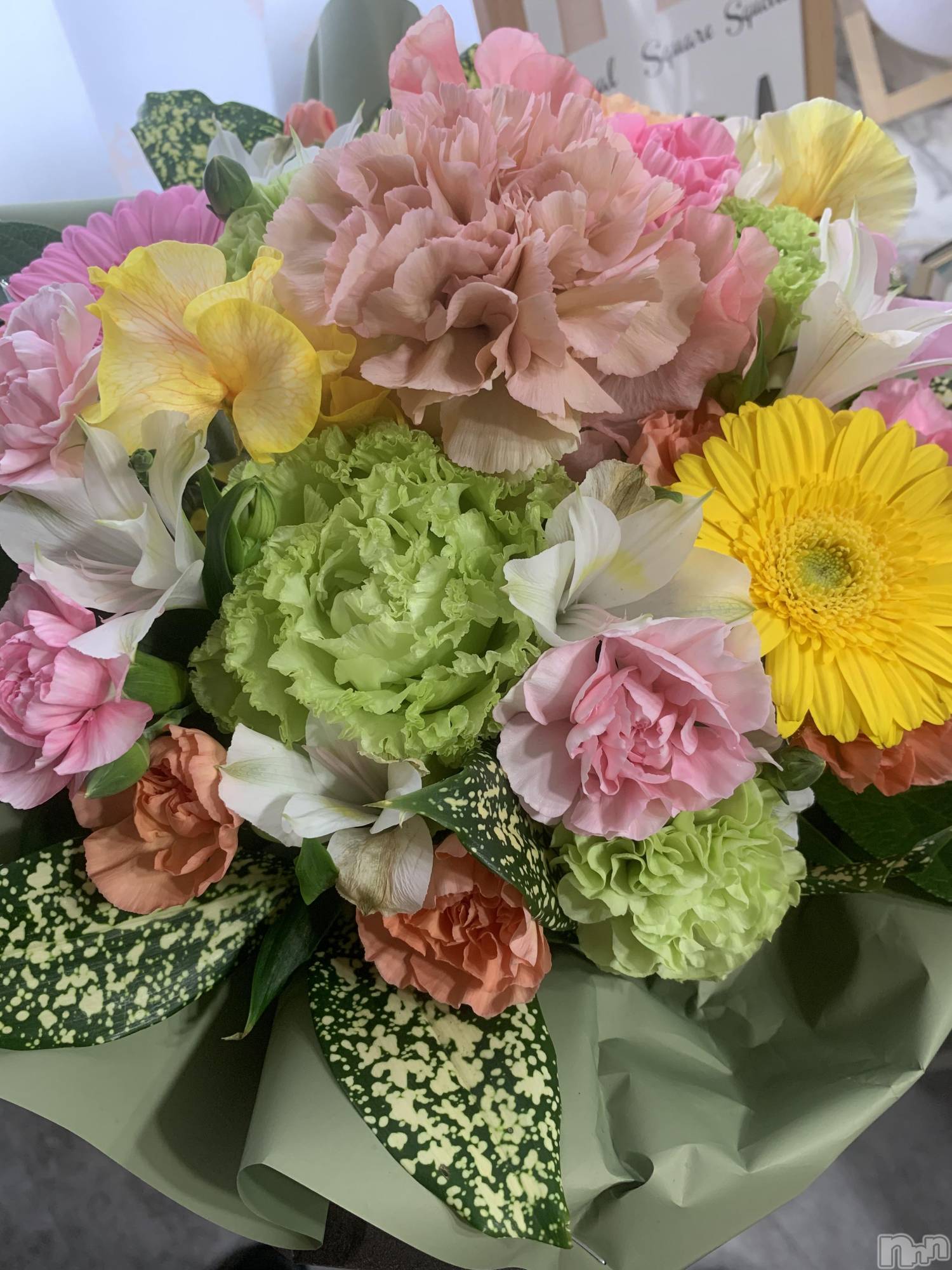 ���ܱ�������Х��顦����֥���� �ץ���� ����(����� �ץ���� �ޥĥ��) ��2026ǯ4��2���̥�֥����ֽжФ��Ƥޤ�����