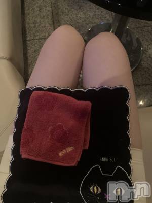 ���ܱ�������Х��顦����֥���� �ץ���� ����(����� �ץ���� �ޥĥ��) ��ʤ�3��29���̥�֥���������✨��