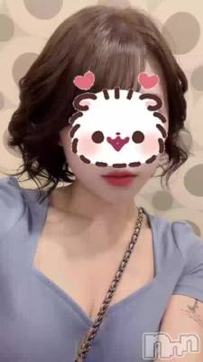 ������✧*��