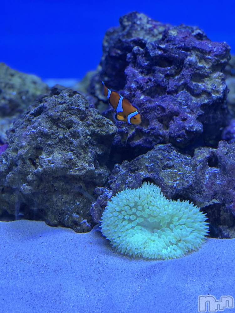 長岡デリヘル長岡人妻市(ナガオカヒトヅマイチ) かりな★このむちっと感が刺さる★(37)の3月20日写メブログ「素敵な時間でした…♡」