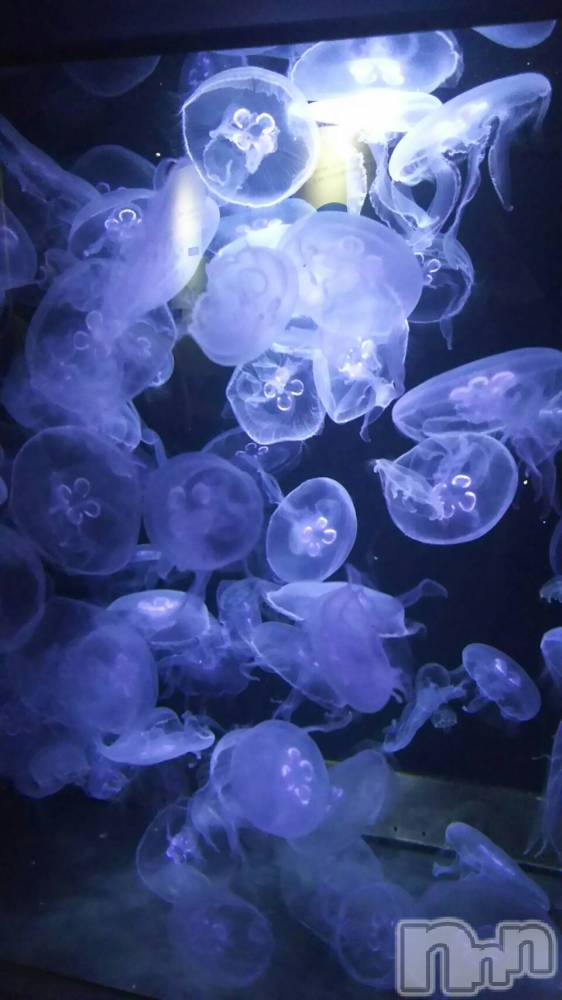 長岡デリヘル長岡人妻市(ナガオカヒトヅマイチ) かりな★このむちっと感が刺さる★(37)の3月22日写メブログ「ふとした時間に…♡」