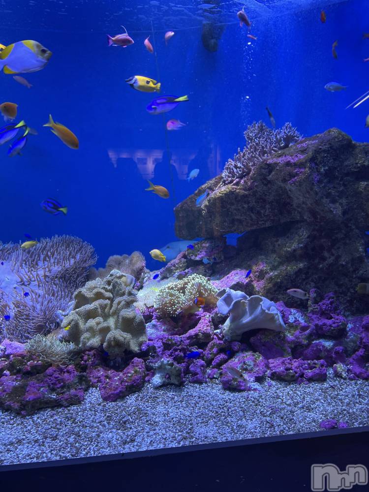 長岡デリヘル長岡人妻市(ナガオカヒトヅマイチ) かりな★このむちっと感が刺さる★(37)の3月23日写メブログ「夜のひとときに…♡」