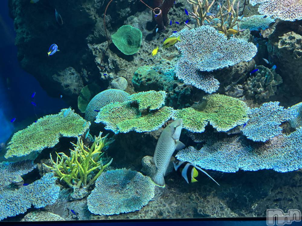 長岡デリヘル長岡人妻市(ナガオカヒトヅマイチ) かりな★このむちっと感が刺さる★(37)の3月24日写メブログ「やさしい時間でした…♡」