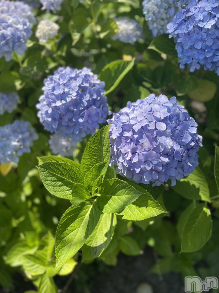 長岡デリヘル長岡人妻市(ナガオカヒトヅマイチ) かりな★このむちっと感が刺さる★(37)の3月24日写メブログ「今日はここまで…♡」