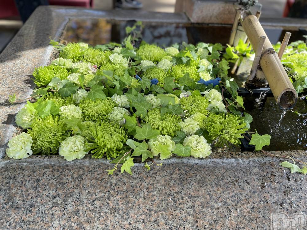 長岡デリヘル長岡人妻市(ナガオカヒトヅマイチ) かりな★このむちっと感が刺さる★(37)の3月25日写メブログ「午後のひとときに…♡」