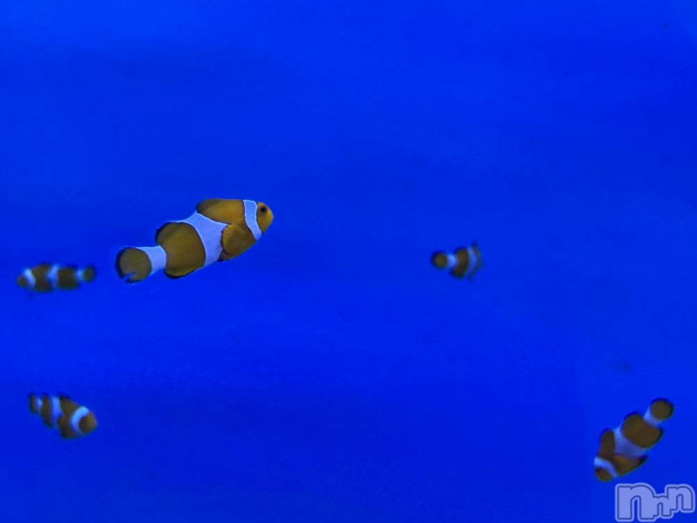 長岡デリヘル長岡人妻市(ナガオカヒトヅマイチ) かりな★このむちっと感が刺さる★(37)の3月25日写メブログ「今日はここまで…♡」