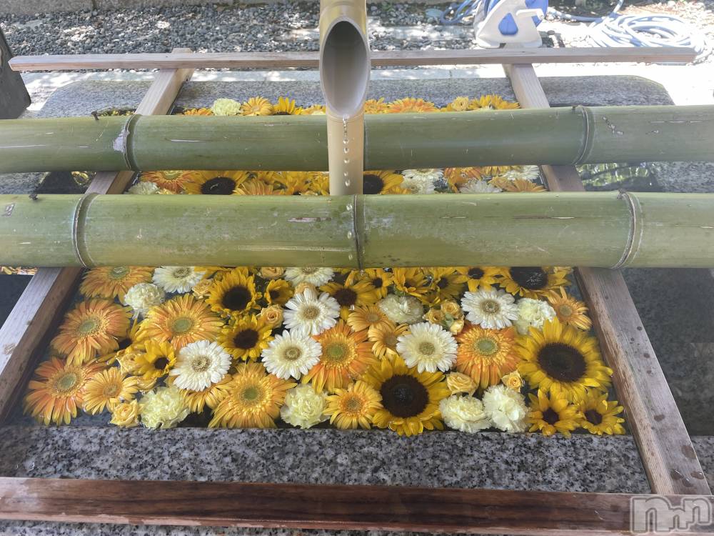 長岡デリヘル長岡人妻市(ナガオカヒトヅマイチ) かりな★このむちっと感が刺さる★(37)の3月27日写メブログ「ふとした時間に…♡」