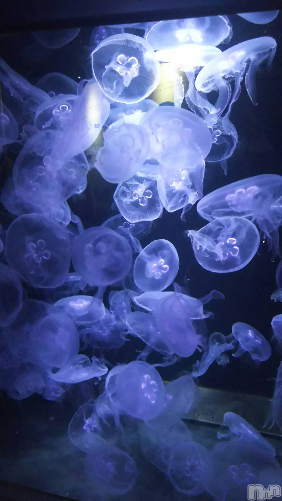 長岡デリヘル長岡人妻市(ナガオカヒトヅマイチ)かりな★このむちっと感が刺さる★(37)の2026年3月22日写メブログ「ふとした時間に…♡」