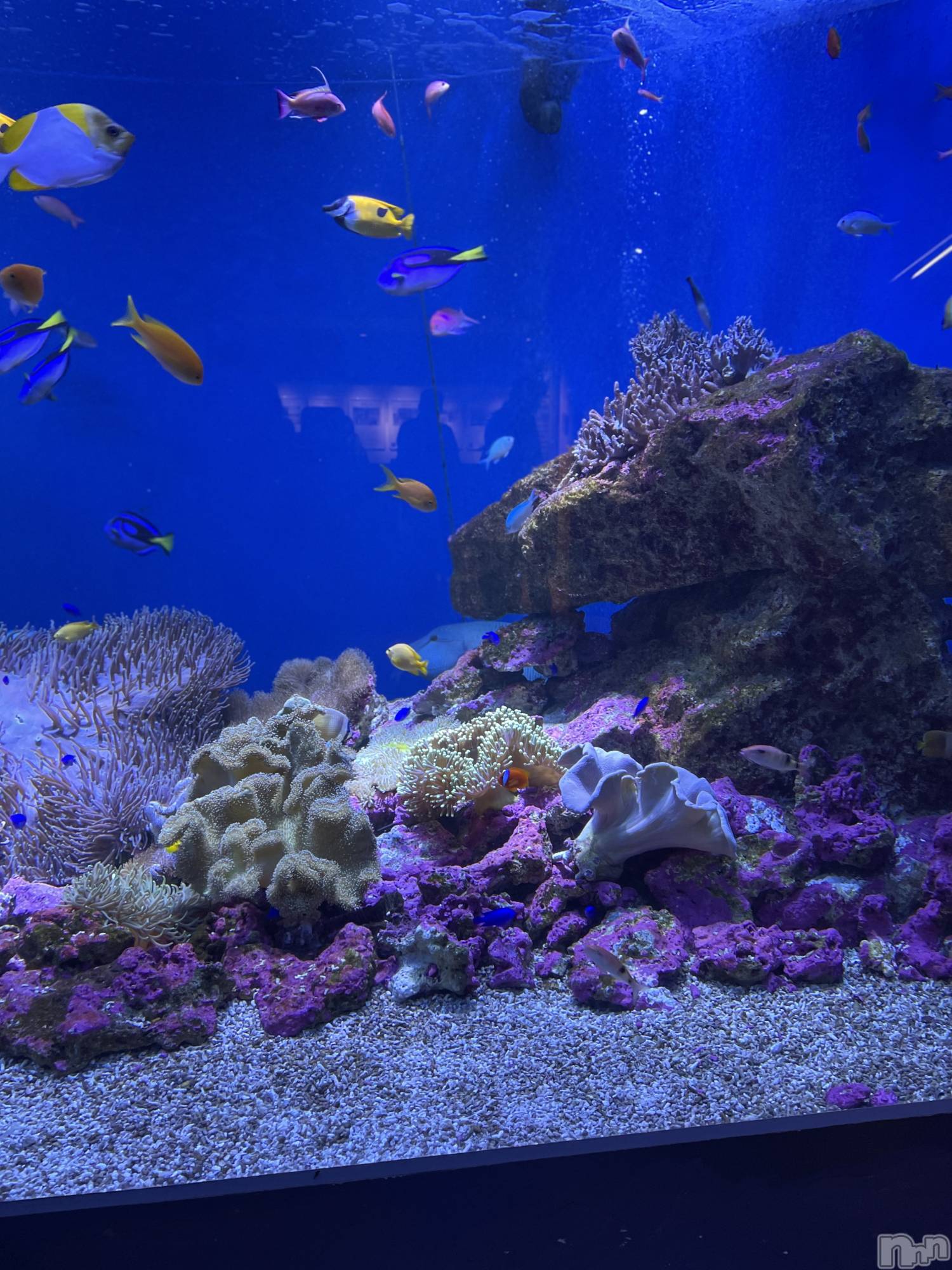 長岡デリヘル長岡人妻市(ナガオカヒトヅマイチ)かりな★このむちっと感が刺さる★(37)の2026年3月23日写メブログ「夜のひとときに…♡」