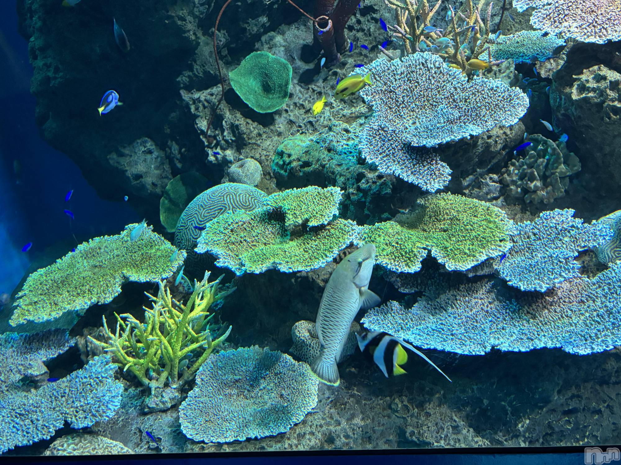 長岡デリヘル長岡人妻市(ナガオカヒトヅマイチ)かりな★このむちっと感が刺さる★(37)の2026年3月24日写メブログ「やさしい時間でした…♡」