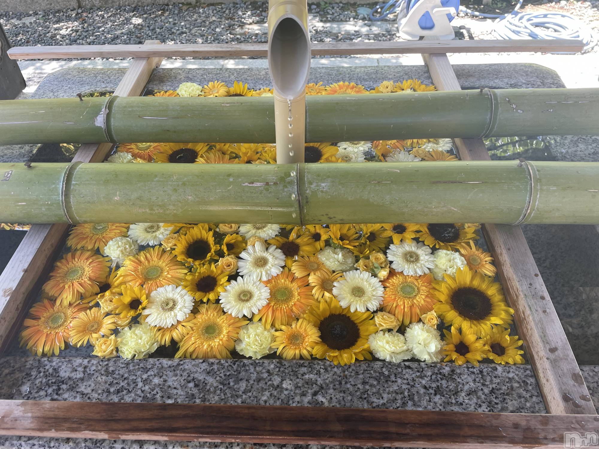 長岡デリヘル長岡人妻市(ナガオカヒトヅマイチ)かりな★このむちっと感が刺さる★(37)の2026年3月27日写メブログ「ふとした時間に…♡」