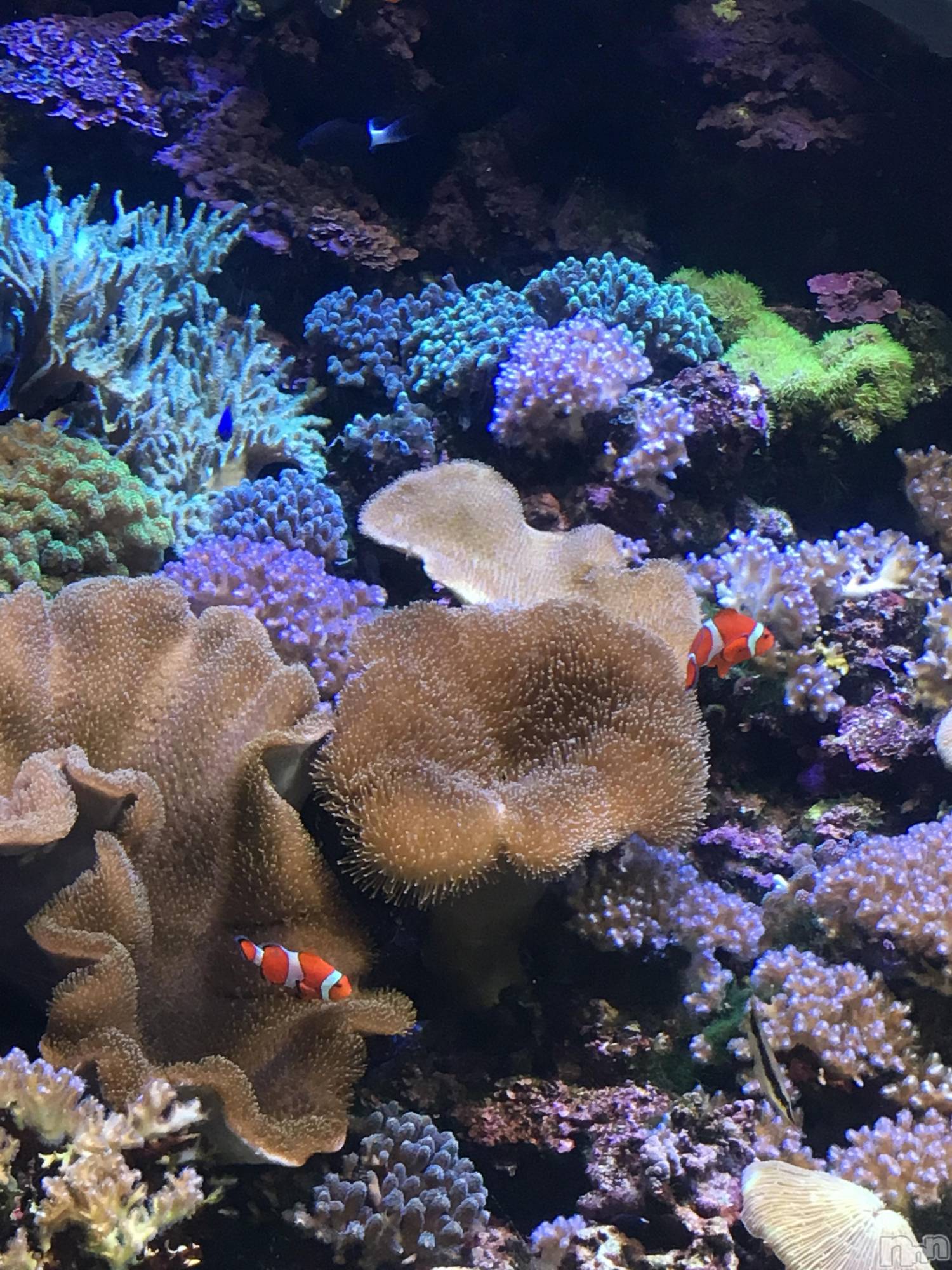 長岡デリヘル長岡人妻市(ナガオカヒトヅマイチ)かりな★このむちっと感が刺さる★(37)の2026年4月23日写メブログ「ありがとうございました♡」