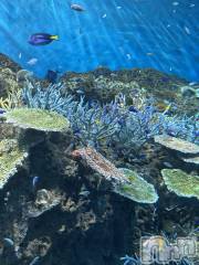 長岡デリヘル長岡人妻市(ナガオカヒトヅマイチ) かりな★このむちっと感が刺さる★(37)の3月18日写メブログ「はじめての出勤でした☆」