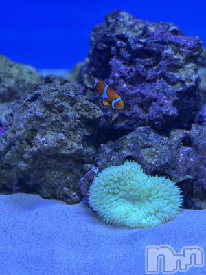 長岡デリヘル 長岡人妻市(ナガオカヒトヅマイチ) かりな★このむちっと感が刺さる★(37)の3月20日写メブログ「素敵な時間でした…♡」