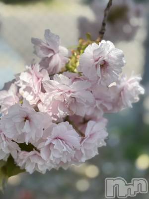 長岡デリヘル 長岡人妻市(ナガオカヒトヅマイチ) かりな★このむちっと感が刺さる★(37)の3月30日写メブログ「楽しい時間でした✨」