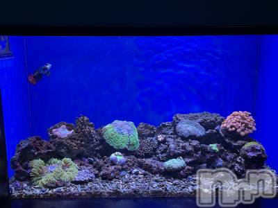 長岡デリヘル 長岡人妻市(ナガオカヒトヅマイチ) かりな★このむちっと感が刺さる★(37)の4月13日写メブログ「本日お時間ある方✨」