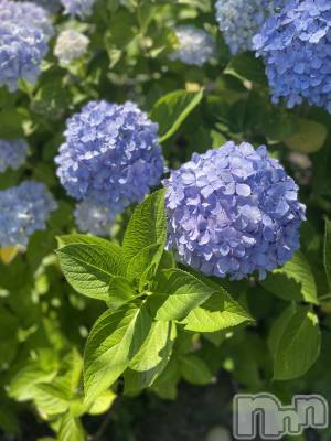 長岡デリヘル 長岡人妻市(ナガオカヒトヅマイチ) かりな★このむちっと感が刺さる★(37)の4月23日写メブログ「本日もよろしくお願いします☺️」