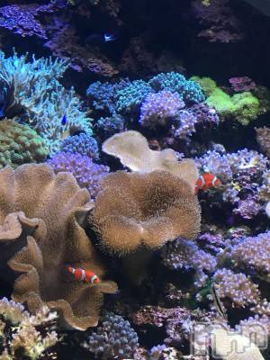 長岡デリヘル 長岡人妻市(ナガオカヒトヅマイチ) かりな★このむちっと感が刺さる★(37)の4月23日写メブログ「ありがとうございました♡」