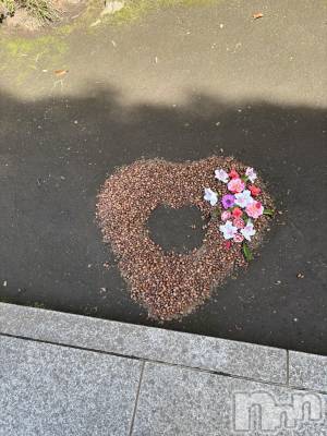長岡デリヘル 長岡人妻市(ナガオカヒトヅマイチ) かりな★熟れた人妻のエロさ★(37)の10月15日写メブログ「こんばんは♡」
