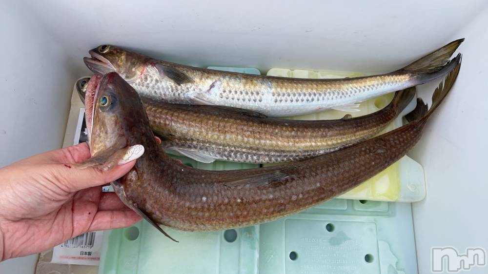 Ĺ�����������襳��ѥ˥��󥯥�ֻ��� Ĺ������ѥ˥����¡�cocona��(������) �ᤤ��4��4���̥�֥����ֺ����Τ��ʤ�‪🎣‬��