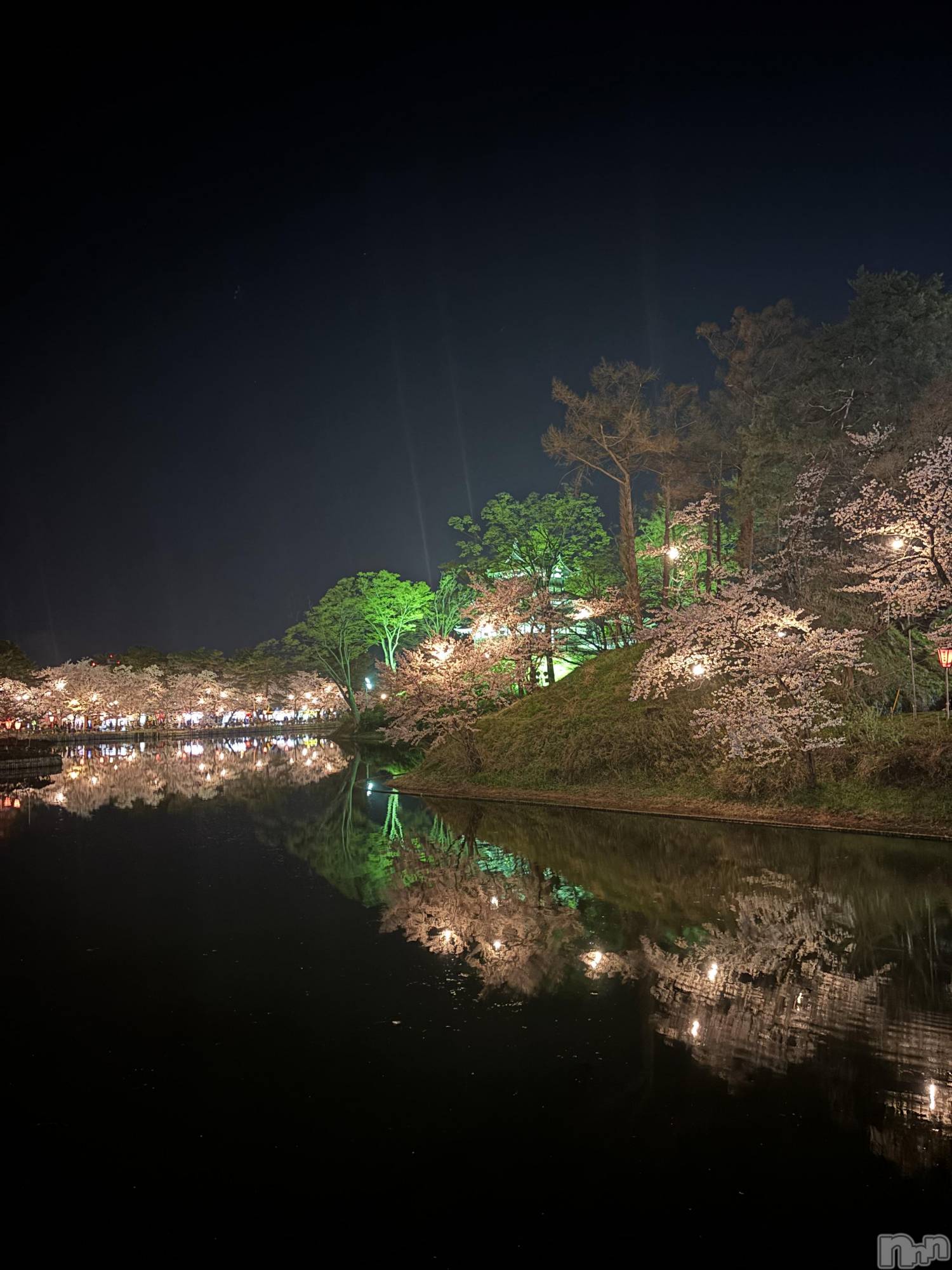 Ĺ�����������襳��ѥ˥��󥯥�ֻ��� Ĺ������ѥ˥����¡�cocona��(������) ��2026ǯ4��11���̥�֥����֤ͤ����Ԥʤ������🤣��