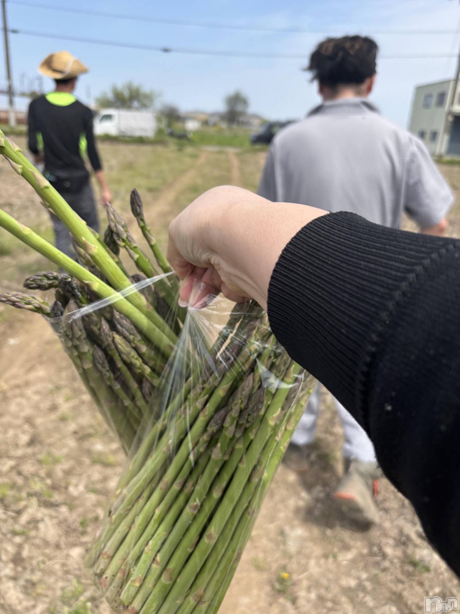 Ĺ�����������襳��ѥ˥��󥯥�ֻ��� Ĺ������ѥ˥����¡�cocona��(������) ��2026ǯ4��23���̥�֥����־��Ф��ˤ��Ƥ�����💚��