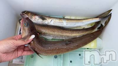 Ĺ�����������襳��ѥ˥��󥯥�ֻ��� Ĺ������ѥ˥����¡�cocona��(������) �ᤤ��4��4���̥�֥����ֺ����Τ��ʤ�‪🎣‬��