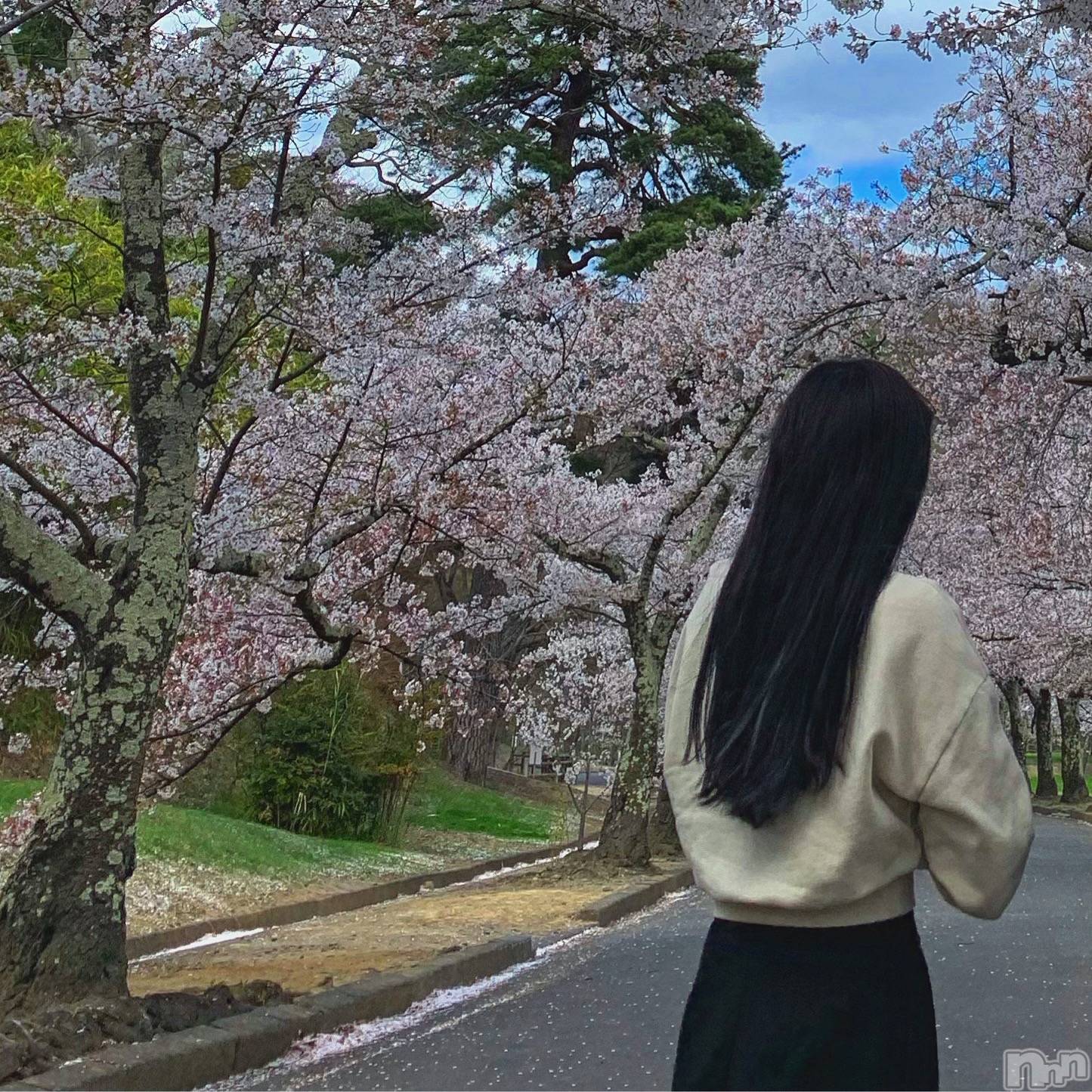 ��ë����Х��顦�����CLUB��Paladin(����֡��ѥ�ǥ���) ��2026ǯ4��25���̥�֥����֤��ָ���🌸✨��