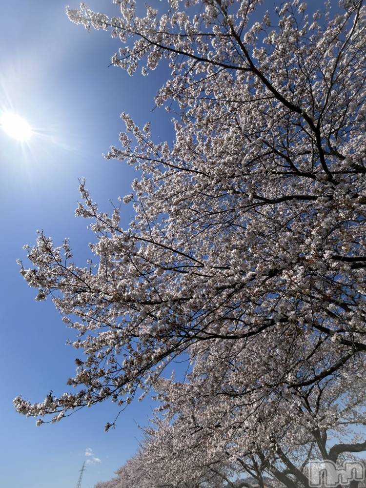 ����������ʥå��������륺�С�JEUNESSE(����ͥ�) Rara��4��18���̥�֥�����🌸��