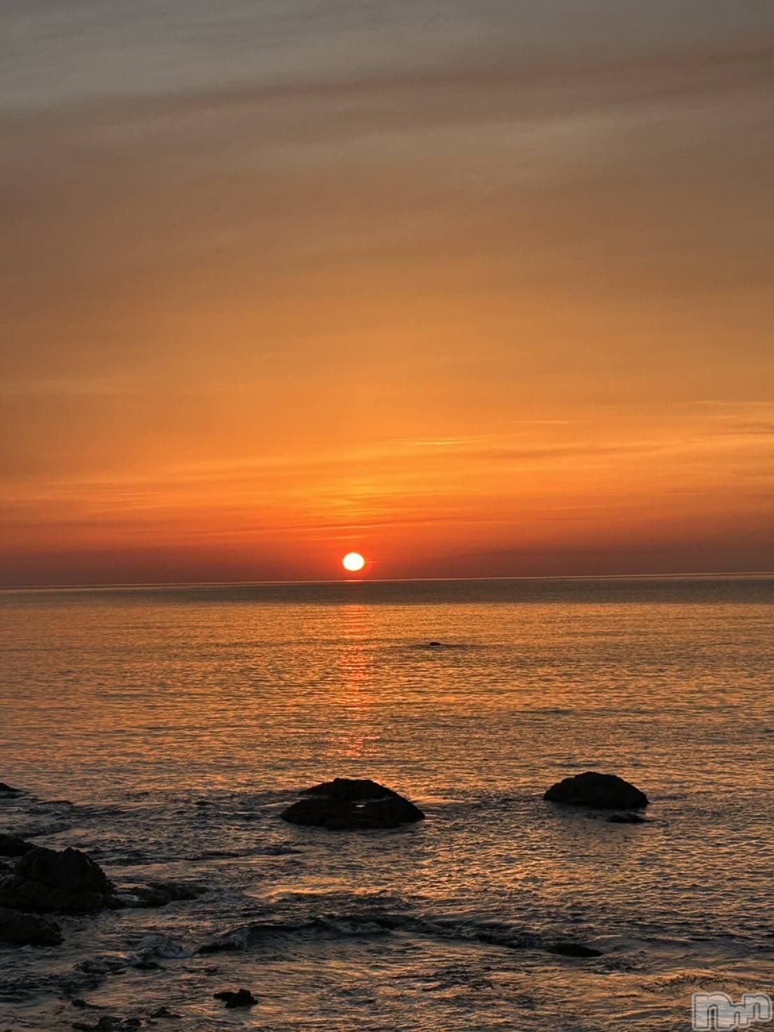 ����������ʥå��������륺�С�JEUNESSE(����ͥ�) ��2026ǯ4��6���̥�֥�����🌞��