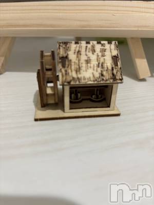 ����������ʥå��������륺�С�JEUNESSE(����ͥ�) Rara��4��8���̥�֥�����🏡��