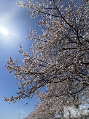 ����������ʥå��������륺�С�JEUNESSE(����ͥ�) Rara��4��18���̥�֥�����🌸��