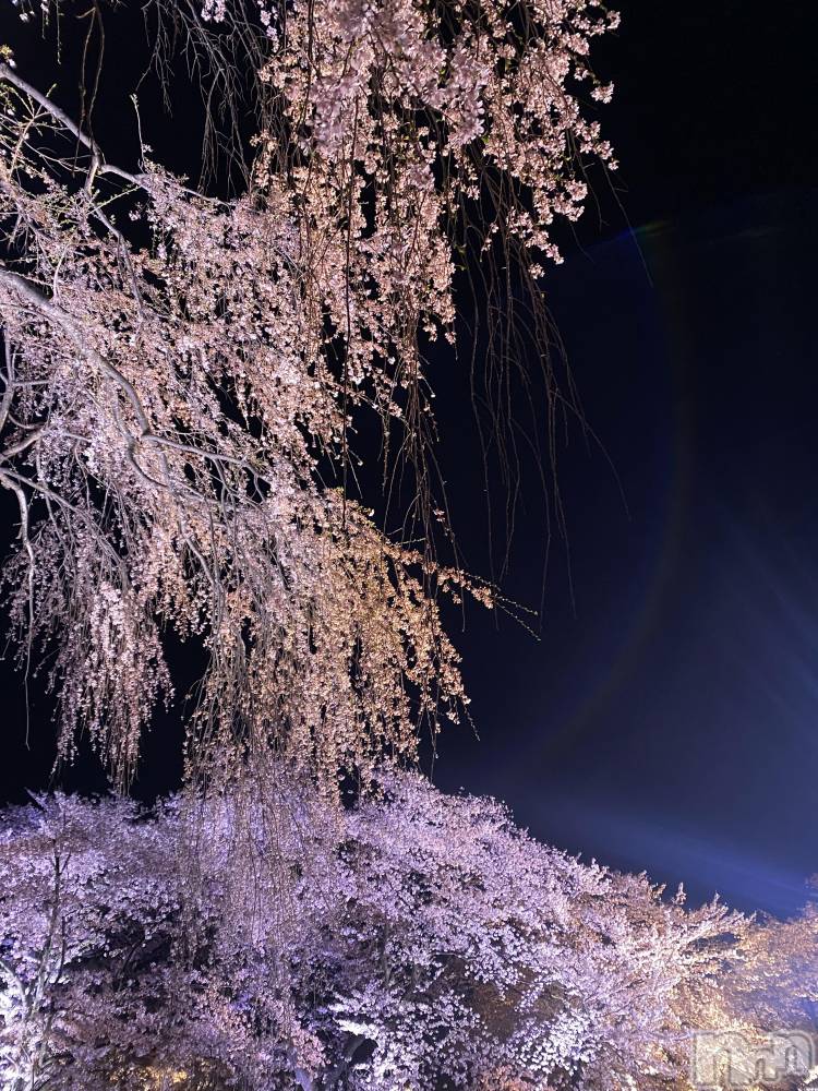 ����������ʥå��������륺�С�JEUNESSE(����ͥ�) Suzu��4��6���̥�֥����֤����鸫�˹Ԥ���������