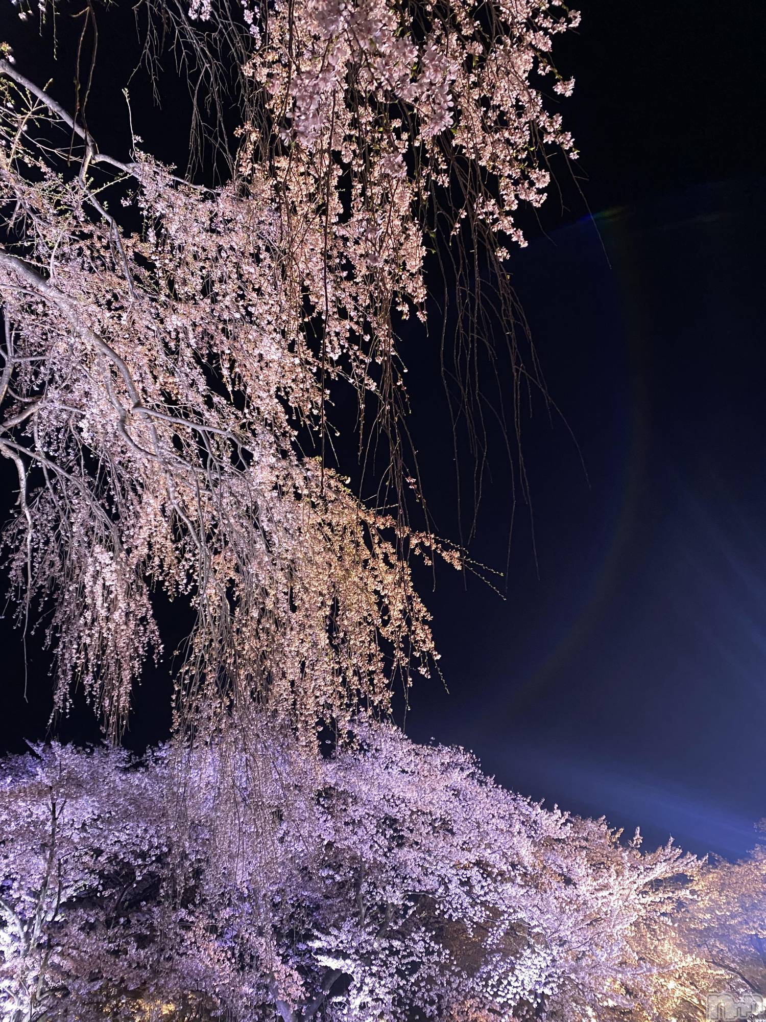 ����������ʥå��������륺�С�JEUNESSE(����ͥ�) ��2026ǯ4��6���̥�֥����֤����鸫�˹Ԥ���������