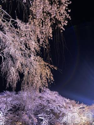 ����������ʥå��������륺�С�JEUNESSE(����ͥ�) Suzu��4��6���̥�֥����֤����鸫�˹Ԥ���������