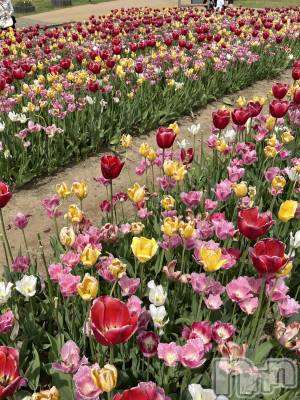 ����������ʥå��������륺�С�JEUNESSE(����ͥ�) Suzu��4��28���̥�֥����֤��֤ε����