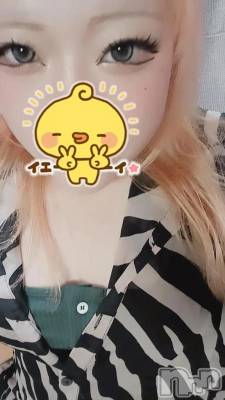 新潟デリヘル 新潟市鳥屋野潟ちゃんこ(ニイガタシトヤノガタチャンコ) れもん(20)の6月11日写メブログ「出勤しましたー！」
