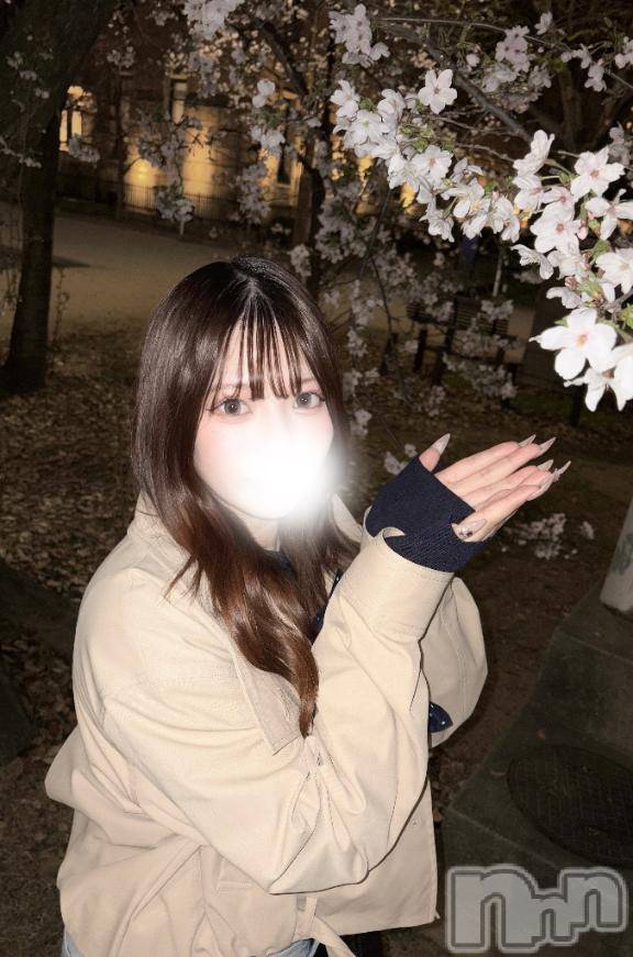 新潟ソープ新潟バニーコレクション(ニイガタバニーコレクション) シホ(21)の4月3日写メブログ「今日もいっぱい///」