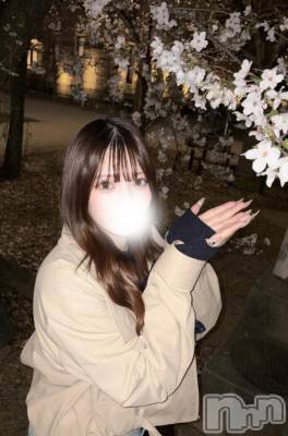 新潟ソープ 新潟バニーコレクション(ニイガタバニーコレクション) シホ(21)の4月3日写メブログ「今日もいっぱい///」