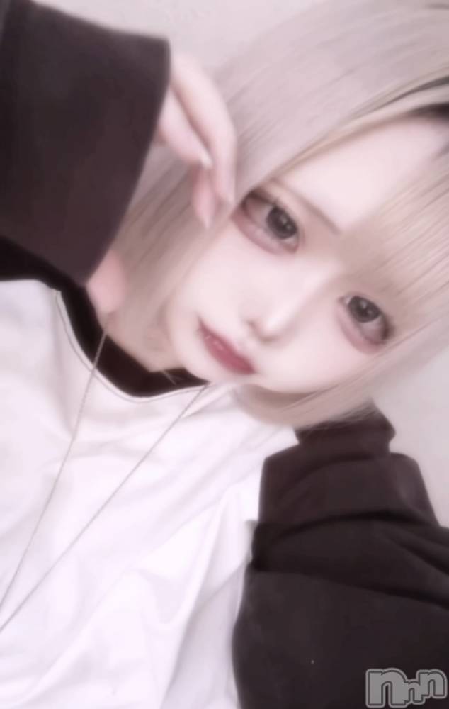 ����������ʥå��������륺�С�ROYAL ONE(���������) �����3��25���̥�֥����ֽ�֤���꜀^. ̫.^꜆��