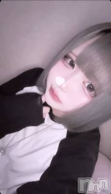 ����(20) ��Ĺ157cm������������ʥå��������륺�С� ROYAL ONE(���������)���ҡ�