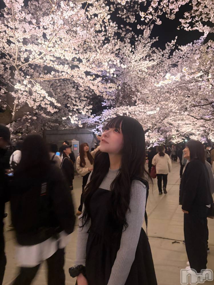 ��Į���ʥå��������륺�С�GIRLS BAR ROBIN(�����륺�С����ӥ�) ��ʤ�4��8���̥�֥����֤��ָ�🌸��