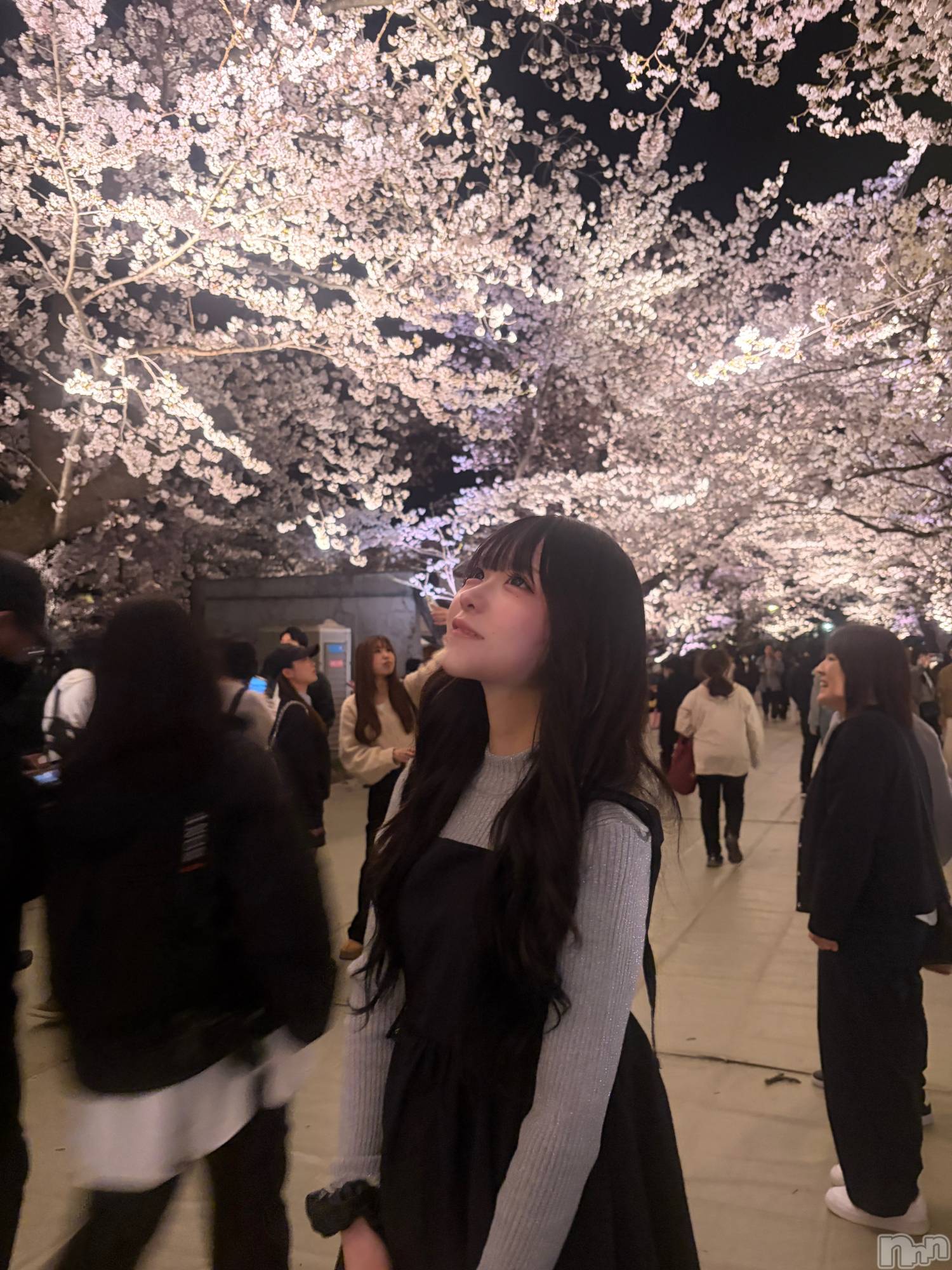 ��Į���ʥå��������륺�С�GIRLS BAR ROBIN(�����륺�С����ӥ�) ��2026ǯ4��8���̥�֥����֤��ָ�🌸��