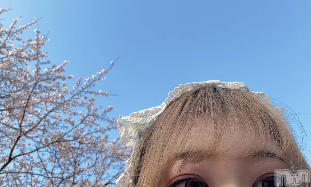 新潟デリヘル新潟デリヘル委員会 HOPE -ホープ-(ニイガタデリヘルイインカイホープ) 新人ちとせ☆デリヘル(25)の4月4日写メブログ「さくら🌸」