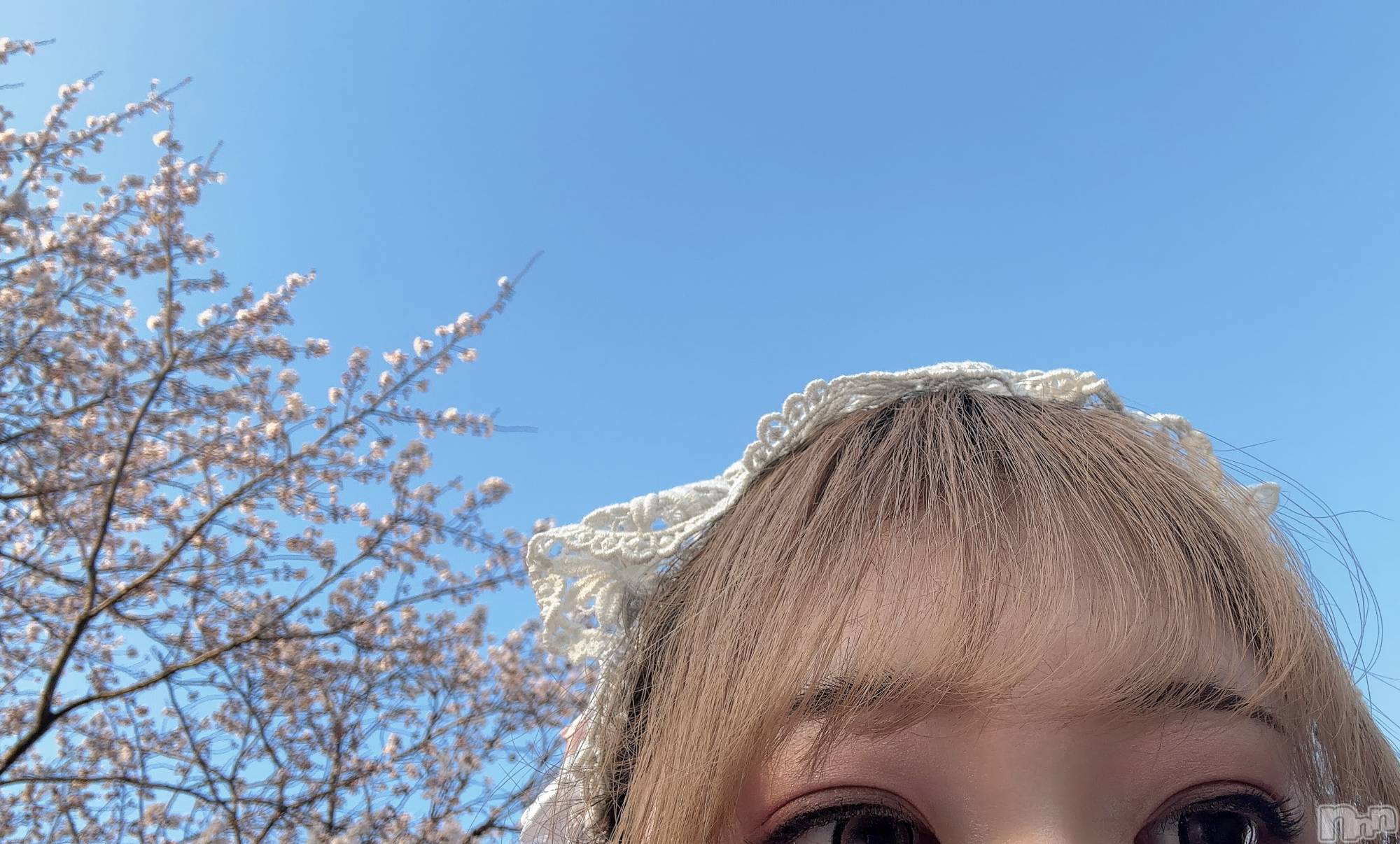 新潟デリヘル新潟デリヘル委員会 HOPE -ホープ-(ニイガタデリヘルイインカイホープ)新人ちとせ☆デリヘル(25)の2026年4月4日写メブログ「さくら🌸」