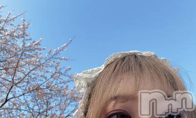 新潟デリヘル 新潟デリヘル委員会 HOPE -ホープ-(ニイガタデリヘルイインカイホープ) 新人ちとせ☆デリヘル(25)の4月4日写メブログ「さくら🌸」