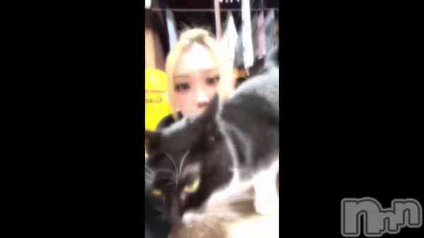 ��4��5�� 04��54ʬ��ư���