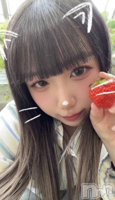 �뤢(20) ��Ĺ�ҥߥġ���Į���ʥå��������륺�С� ������&���饪��BAR  L  STYLE(�С����륹������)���ҡ�