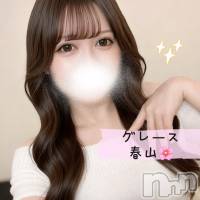 【新人】春山（はるやま）