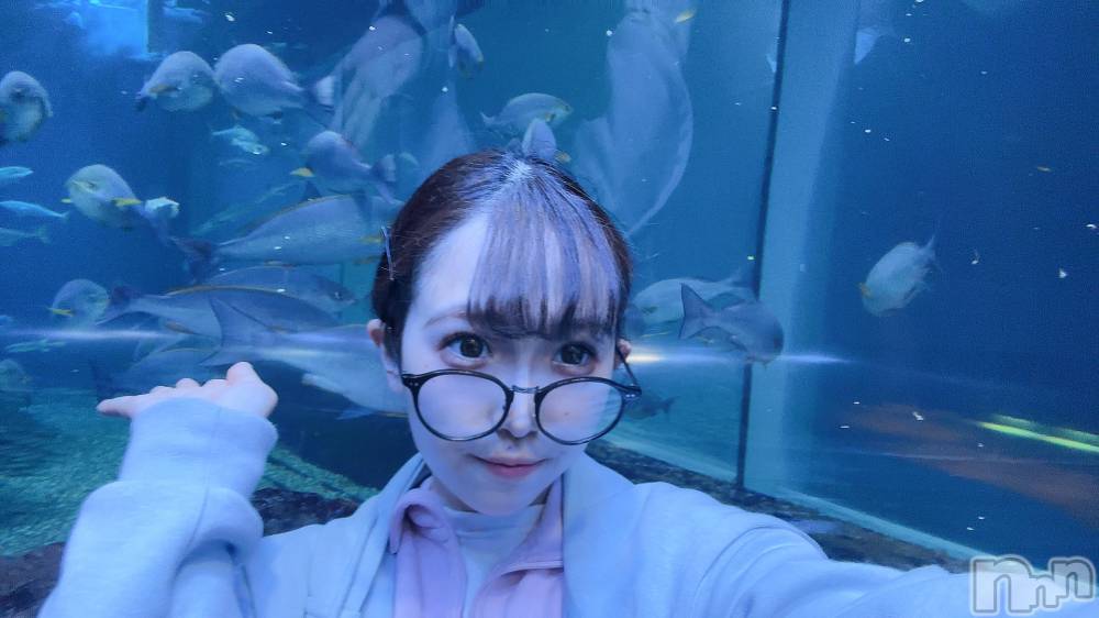 �����������Х��顦�����Club Ludan(����֥����) �� �ޤ��4��16���̥�֥����ֿ�²�۹ԤäƤ���🐬◝✩��